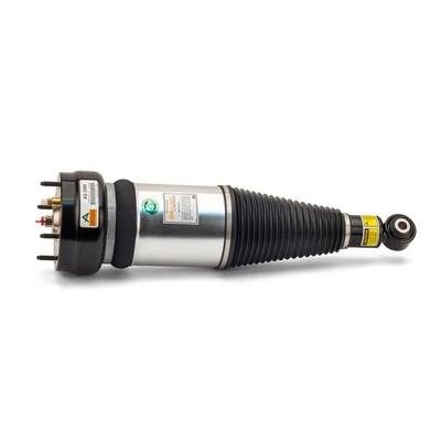 Compre AS2889 Arnott Amortecedor traseiro
