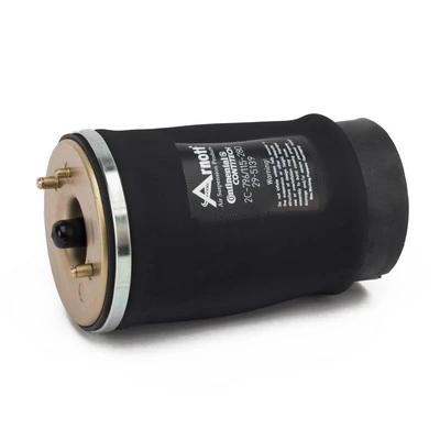 Compre A2503 Arnott Coxim pneumático (suspensão de lâminas pneumática) do eixo traseiro