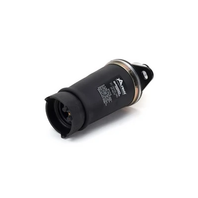 Compre A2133 Arnott Coxim pneumático (suspensão de lâminas pneumática) do eixo traseiro