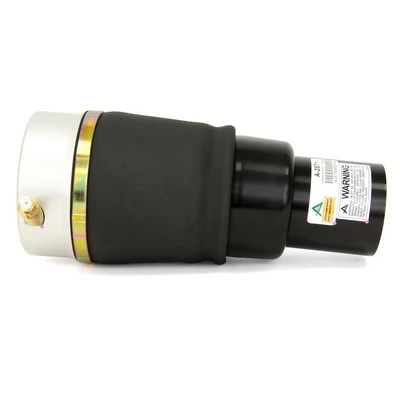 Compre A2571 Arnott Coxim pneumático (suspensão de lâminas pneumática) do eixo dianteiro