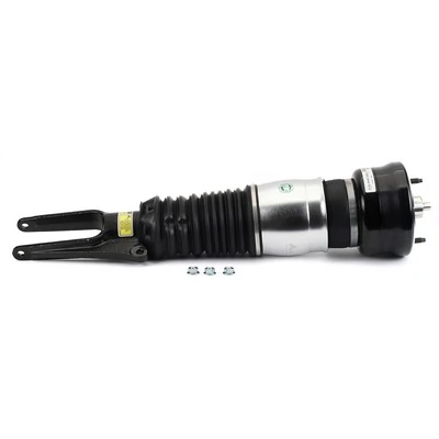 Compre AS3346 Arnott Amortecedor dianteiro