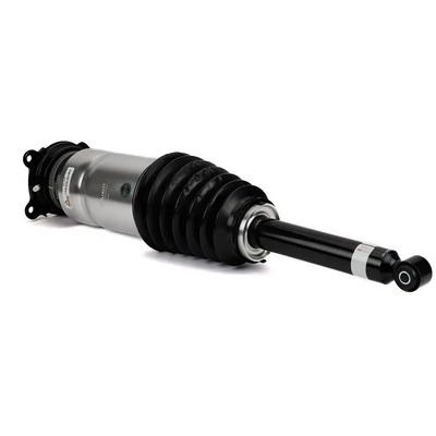 AS3381 Arnott Amortecedor traseiro