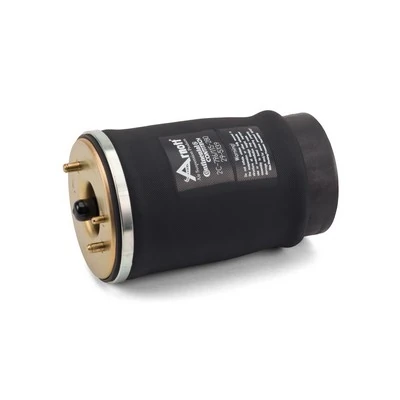 Compre A2502 Arnott Coxim pneumático (suspensão de lâminas pneumática) do eixo traseiro