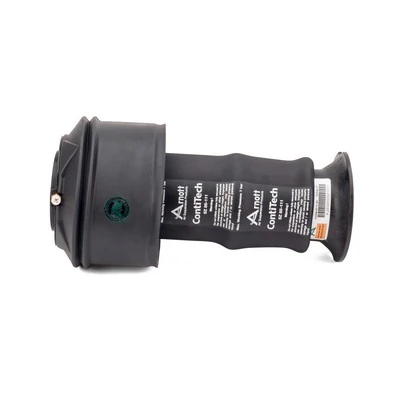 Compre A2939 Arnott Coxim pneumático (suspensão de lâminas pneumática) do eixo traseiro