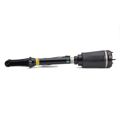 Compre AS2450 Arnott Amortecedor dianteiro