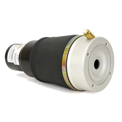 A2571 Arnott Coxim pneumático (suspensão de lâminas pneumática) do eixo dianteiro
