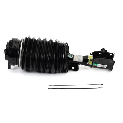 Compre AS3425 Arnott Amortecedor dianteiro esquerdo