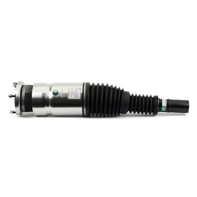Compre ASE3735 Arnott Amortecedor dianteiro esquerdo