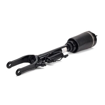 AS2450 Arnott Amortecedor dianteiro