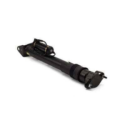 SK2867 Arnott Amortecedor traseiro