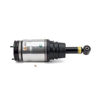Compre AS2534 Arnott Amortecedor traseiro