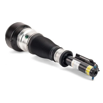 AS2540 Arnott Amortecedor dianteiro