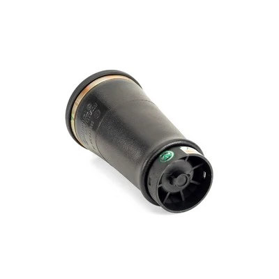 A2202 Arnott Coxim pneumático (suspensão de lâminas pneumática) do eixo traseiro