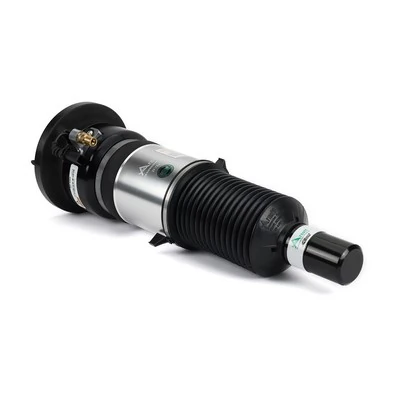 AS3309 Arnott Amortecedor dianteiro