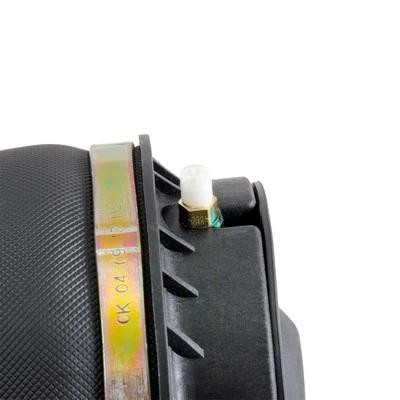 Compre A2596 Arnott Coxim pneumático (suspensão de lâminas pneumática) do eixo traseiro