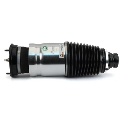 Compre AS3380 Arnott Amortecedor dianteiro