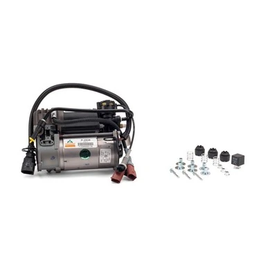 Compre P2539 Arnott Compressor de bombeio pneumático (de amortecedores)