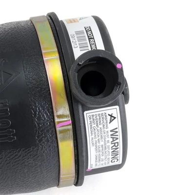 Compre A2153 Arnott Coxim pneumático (suspensão de lâminas pneumática) do eixo traseiro