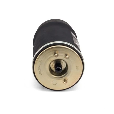 Coxim pneumático (suspensão de lâminas pneumática) do eixo traseiro Amity AP REC10AS0006 preço, a partir de 183,26 USD