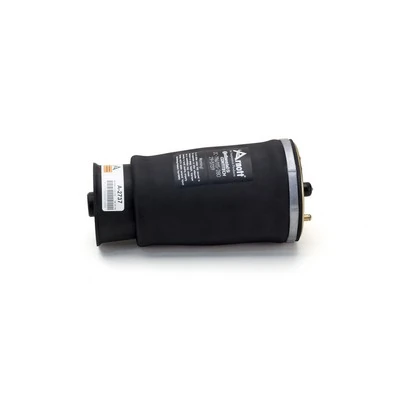 Compre A2737 Arnott Coxim pneumático (suspensão de lâminas pneumática) do eixo traseiro