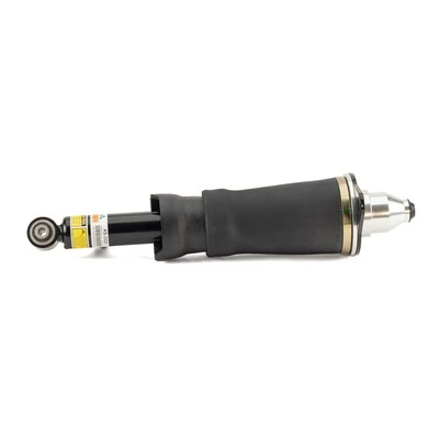 Compre AS3223 Arnott Amortecedor traseiro