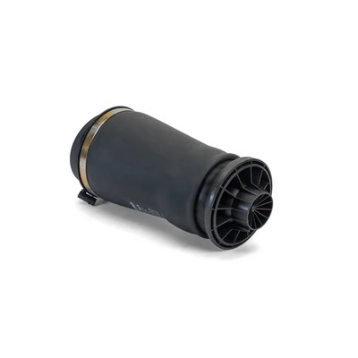 A3010 Arnott Coxim pneumático (suspensão de lâminas pneumática) do eixo traseiro