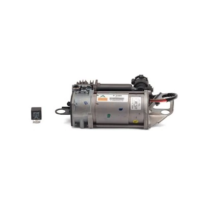 Compre P2496 Arnott Compressor de bombeio pneumático (de amortecedores)
