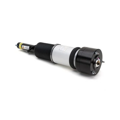 AS2605 Arnott Amortecedor dianteiro