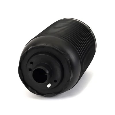 Coxim pneumático (suspensão de lâminas pneumática) do eixo traseiro Arnott A3892 preço, a partir de 277,07 USD