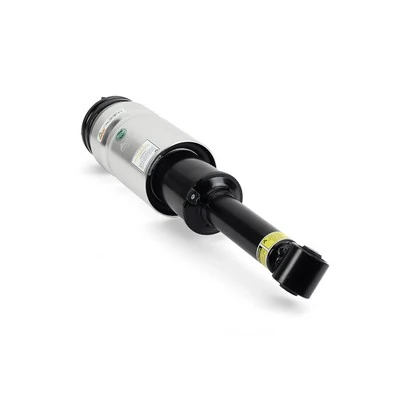 AS2809 Arnott Amortecedor dianteiro