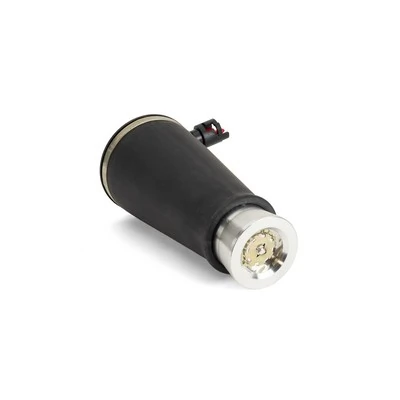 A2220 Arnott Coxim pneumático (suspensão de lâminas pneumática) do eixo traseiro