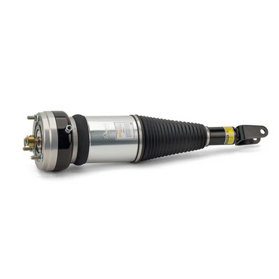 Compre AS2855 Arnott Amortecedor dianteiro direito