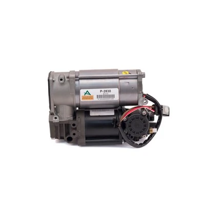 Compre P2830 Arnott Compressor de bombeio pneumático (de amortecedores)