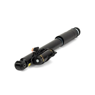 SK3012 Arnott Amortecedor traseiro