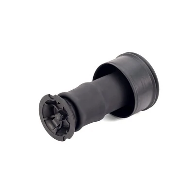 A2939 Arnott Coxim pneumático (suspensão de lâminas pneumática) do eixo traseiro