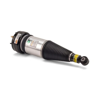 AS2889 Arnott Amortecedor traseiro