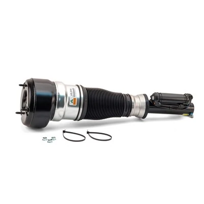 Compre AS2540 Arnott Amortecedor dianteiro