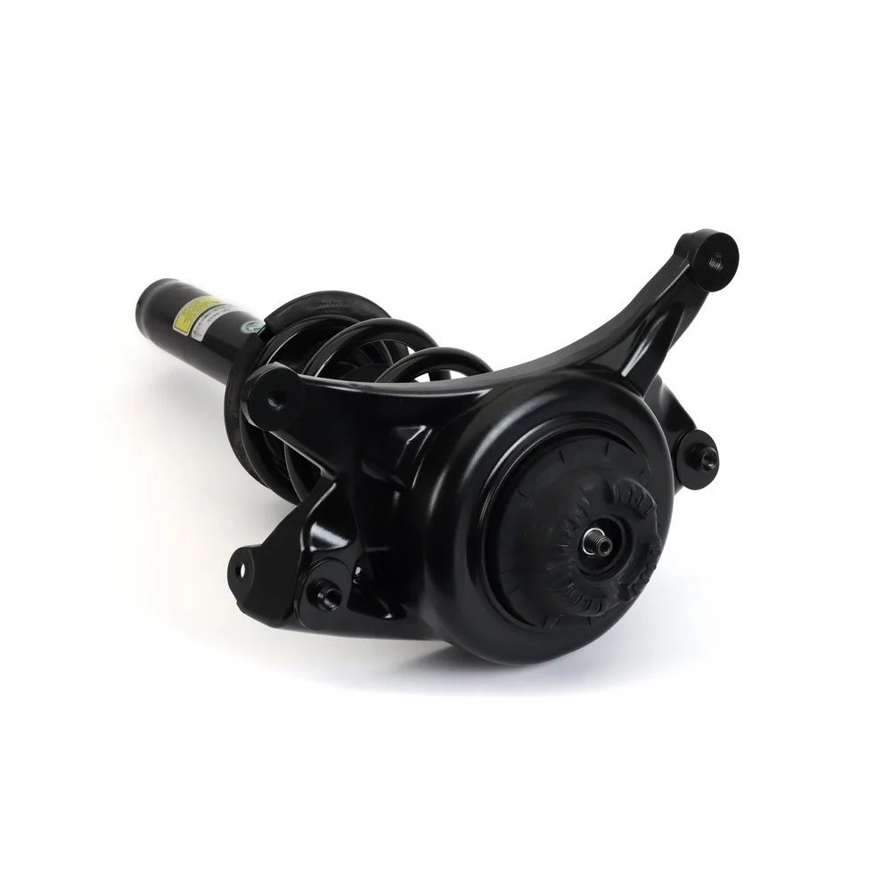 Compre SK3842 Arnott Amortecedor dianteiro