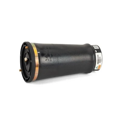 Compre A2202 Arnott Coxim pneumático (suspensão de lâminas pneumática) do eixo traseiro