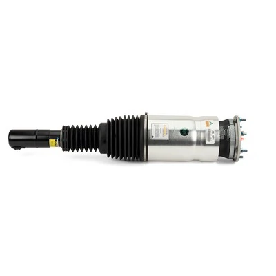 Compre AS3070 Arnott Amortecedor dianteiro esquerdo