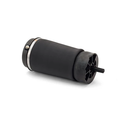 Compre A2831 Arnott Coxim pneumático (suspensão de lâminas pneumática) do eixo traseiro