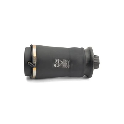 Compre A3010 Arnott Coxim pneumático (suspensão de lâminas pneumática) do eixo traseiro