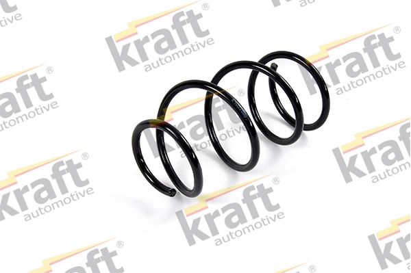 31331093069 BMW Mola dianteira