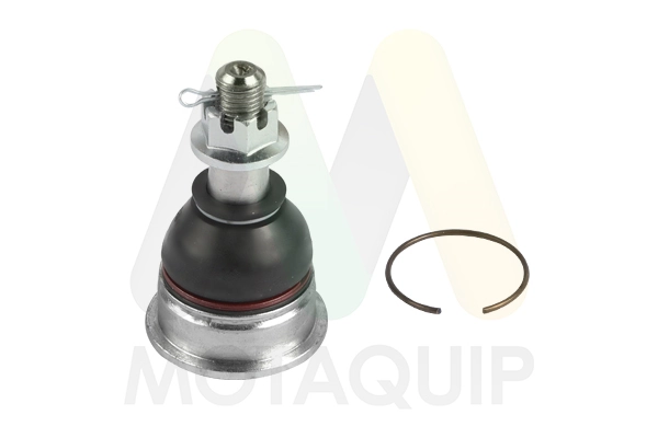 LVSJ1251 Motaquip