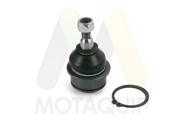 LVSJ1224 Motaquip