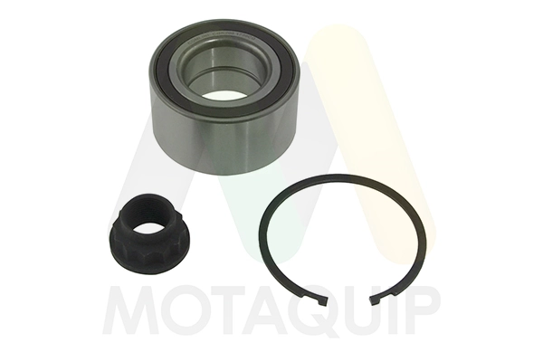 LVBW1568 Motaquip