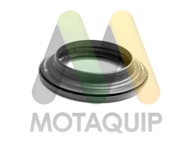 LVSM1088 Motaquip