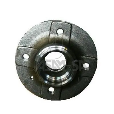 55182 Asam