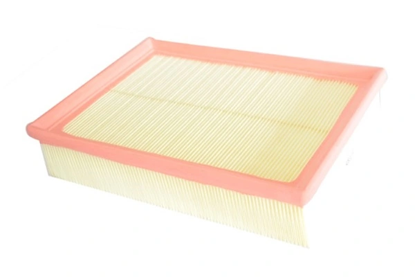 Filtro de ar 6190627M1 Case