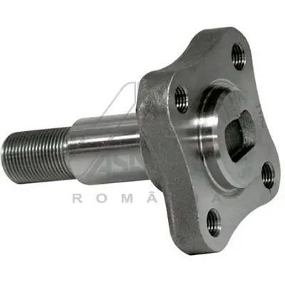 30247 Asam